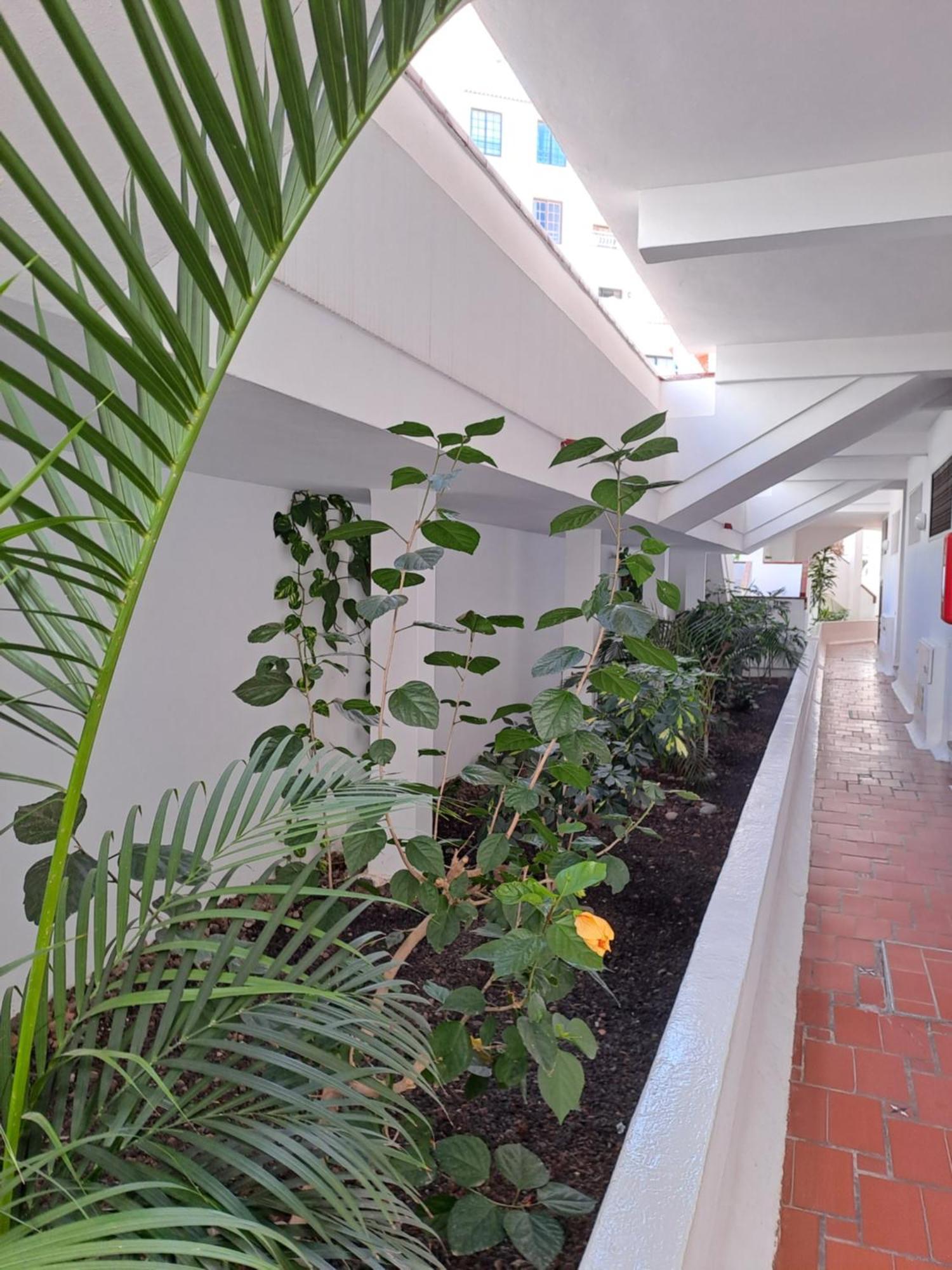 Ancora Home, Los Diamantes, Tenerife Los Cristianos  Buitenkant foto
